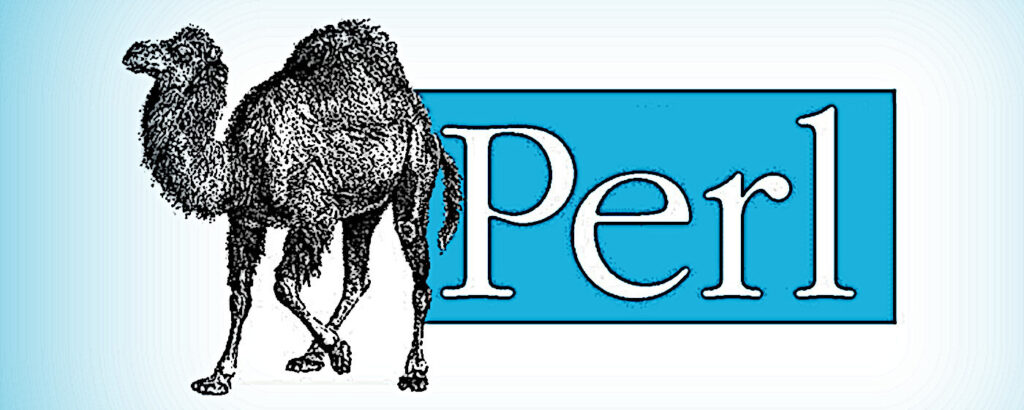Menggali Daya Tarik dari Bahasa Pemrograman Perl